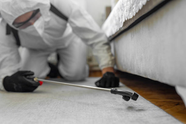 Professional Termite Control technician working in Inwood, NY