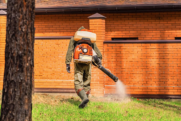 Trusted Cockroach Control service in Inwood, NY - Nex Pest Control